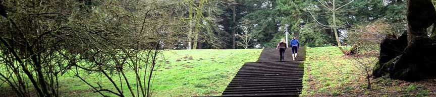 Jefferson neighborhood